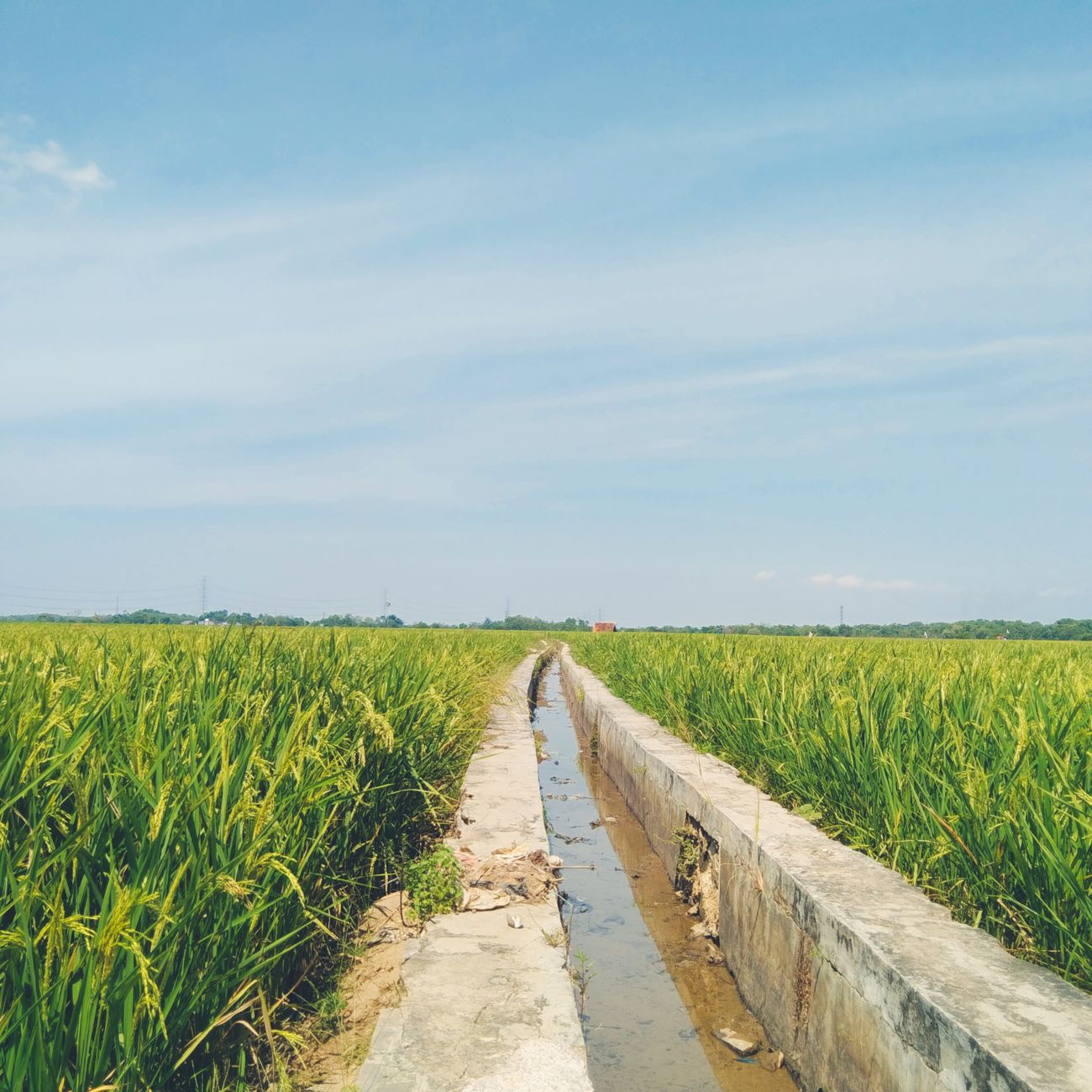Produced Water Management and Disposal  