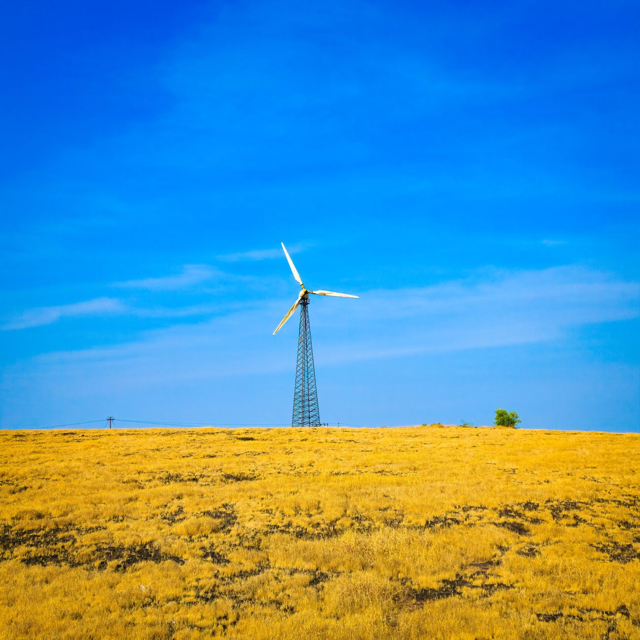 Renewable Energy Market Analysis (United Kingdom)