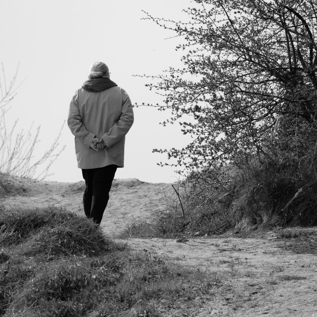 Psychosocial Aspects of Palliative Care