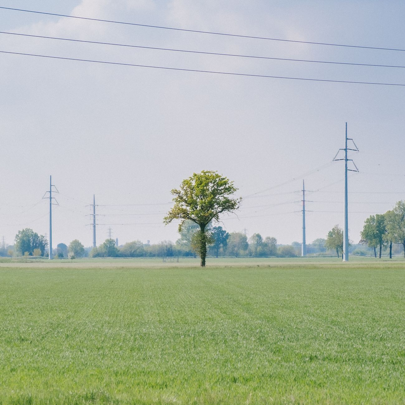 Grid Integration and Smart Charging