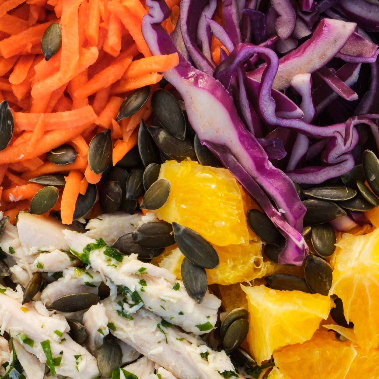 Penguin Diet and Nutrition