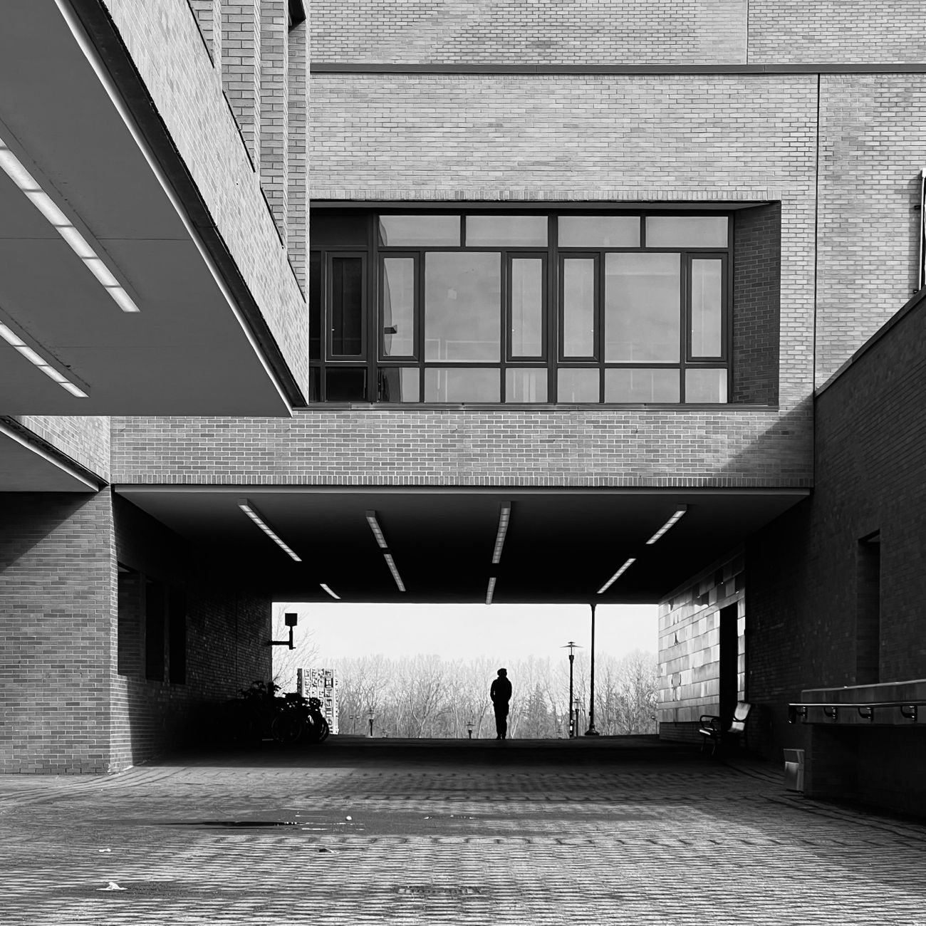 Human Factors in Architectural Design  
