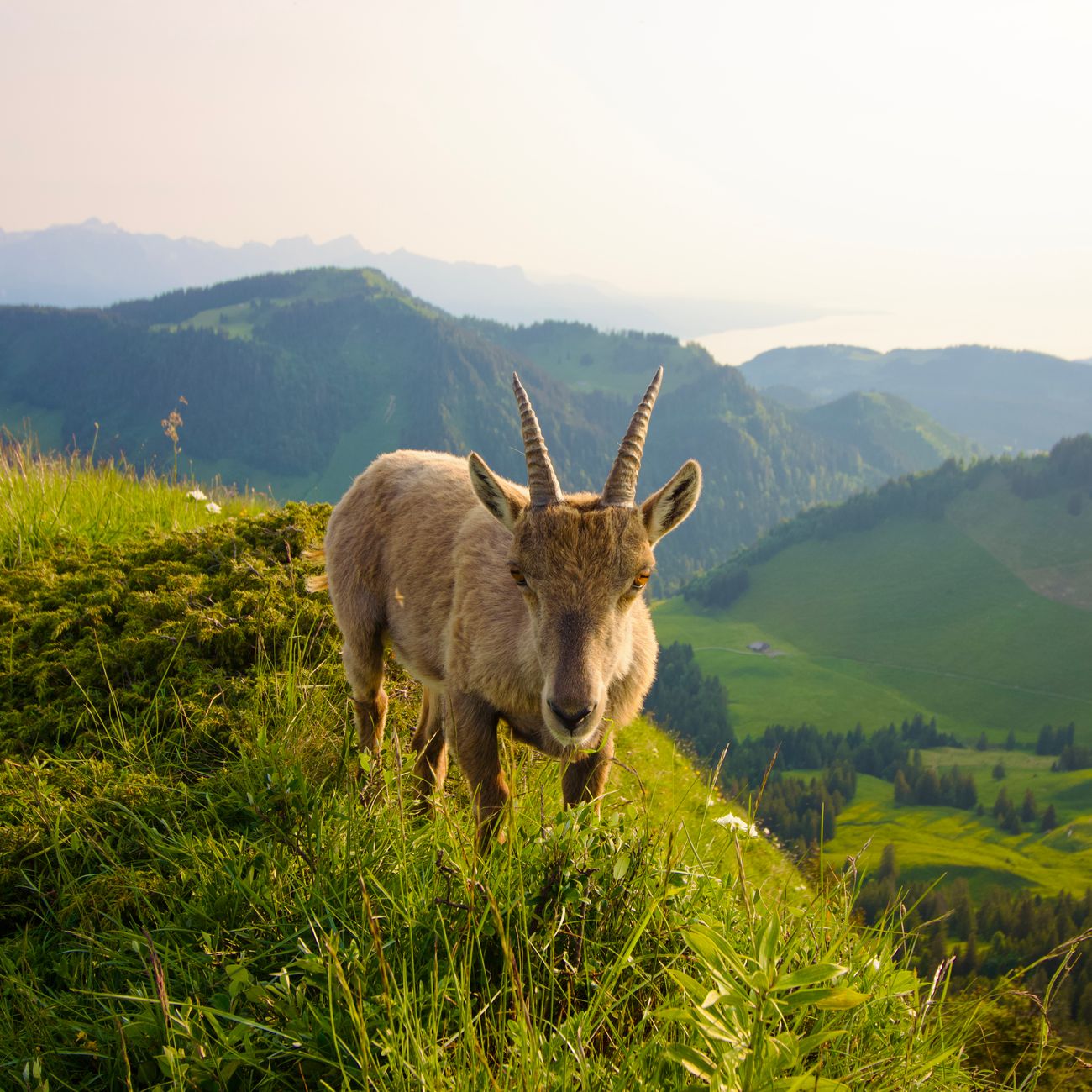 Ecotourism Trends and Opportunities
