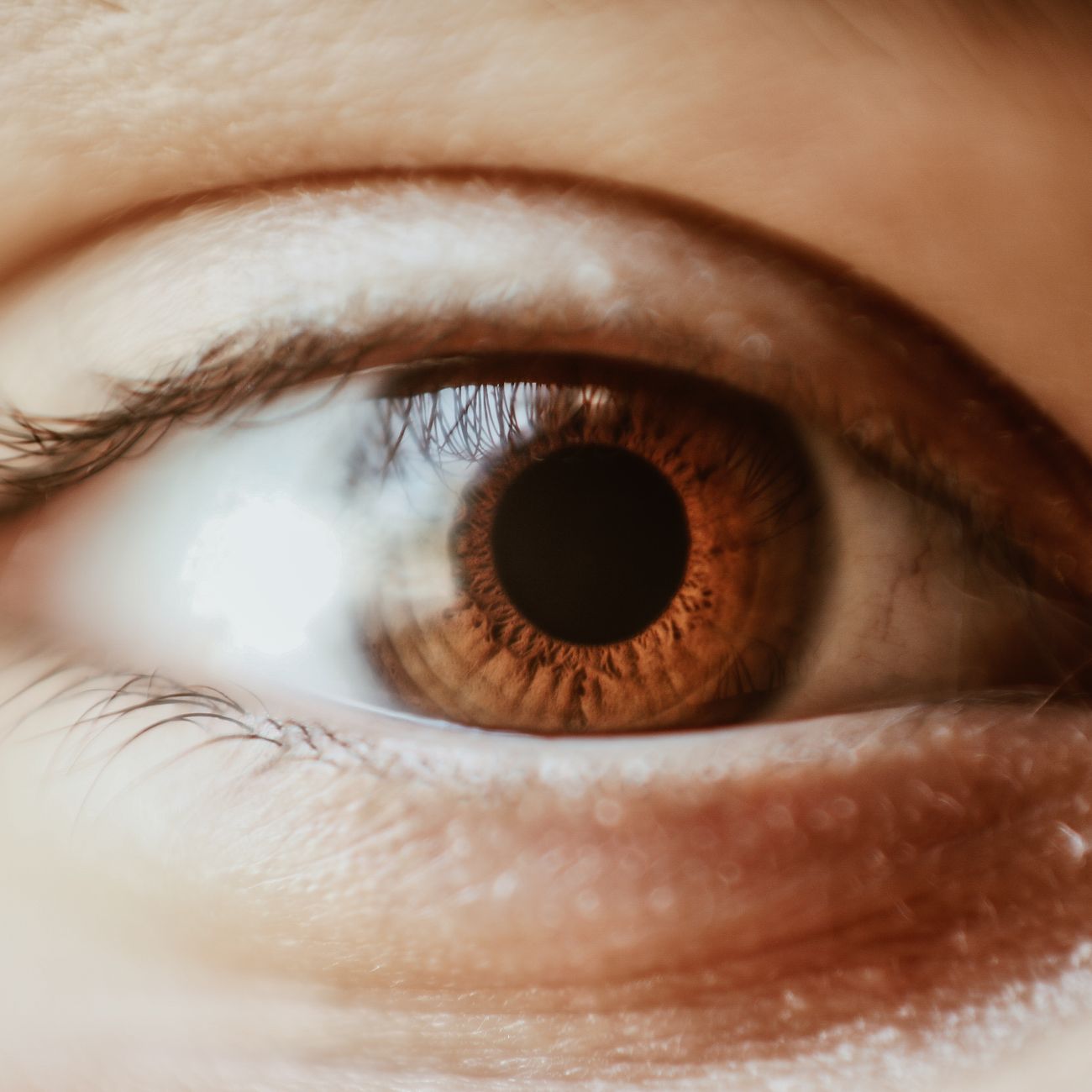 Cognitive and Sensory Processing