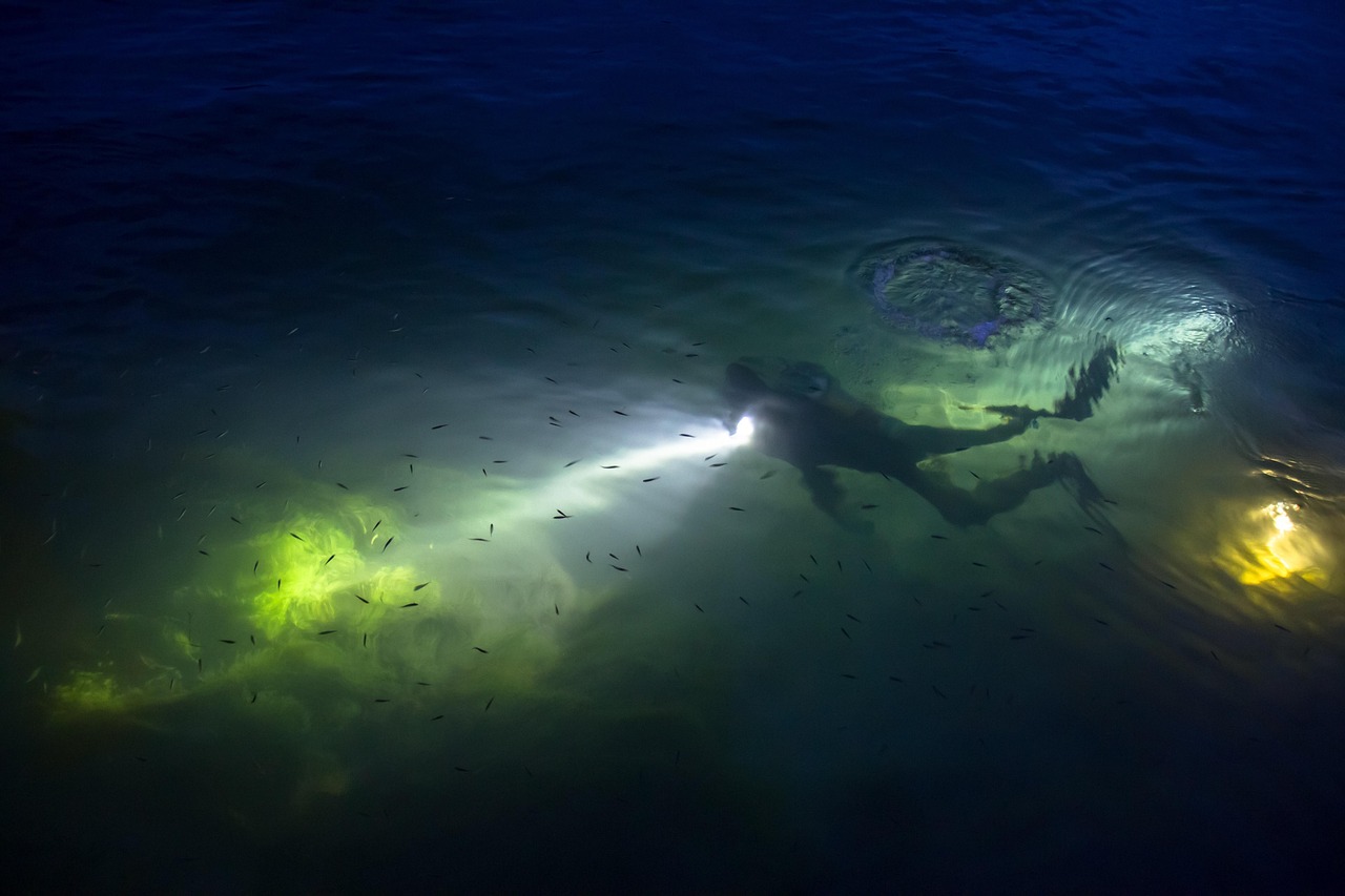 Psychological Aspects of Diving