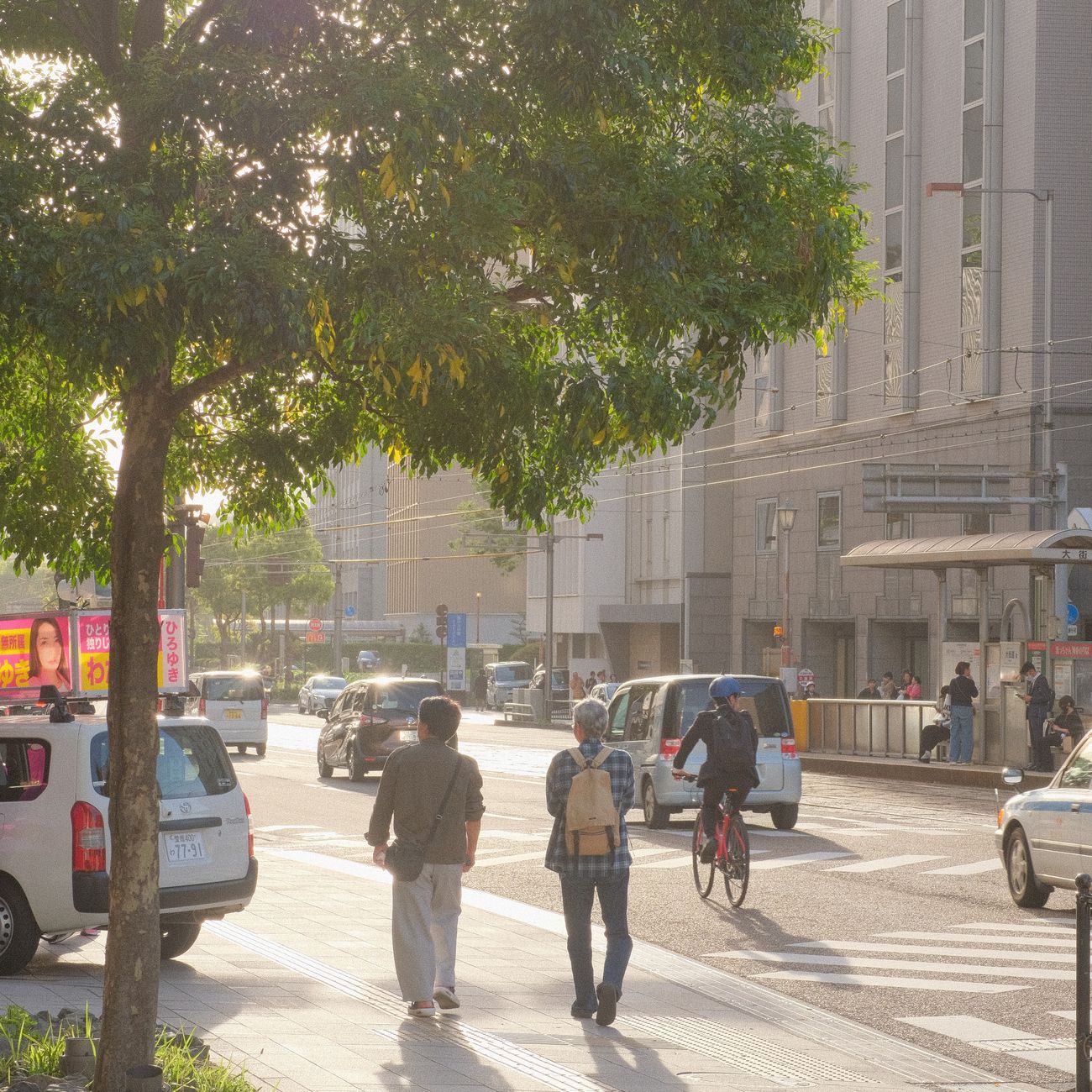 Urban Ecology and Sustainable Cities