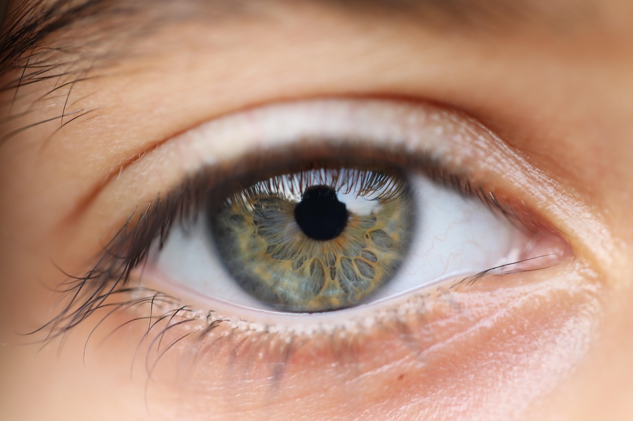 Applications of AI in Vision Correction