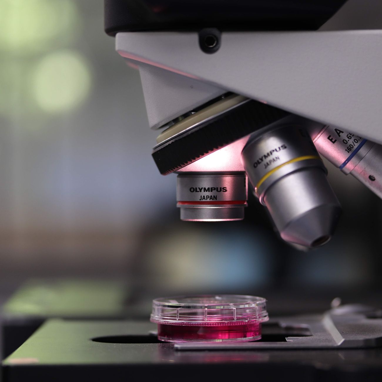 Ethics in Healthcare Research