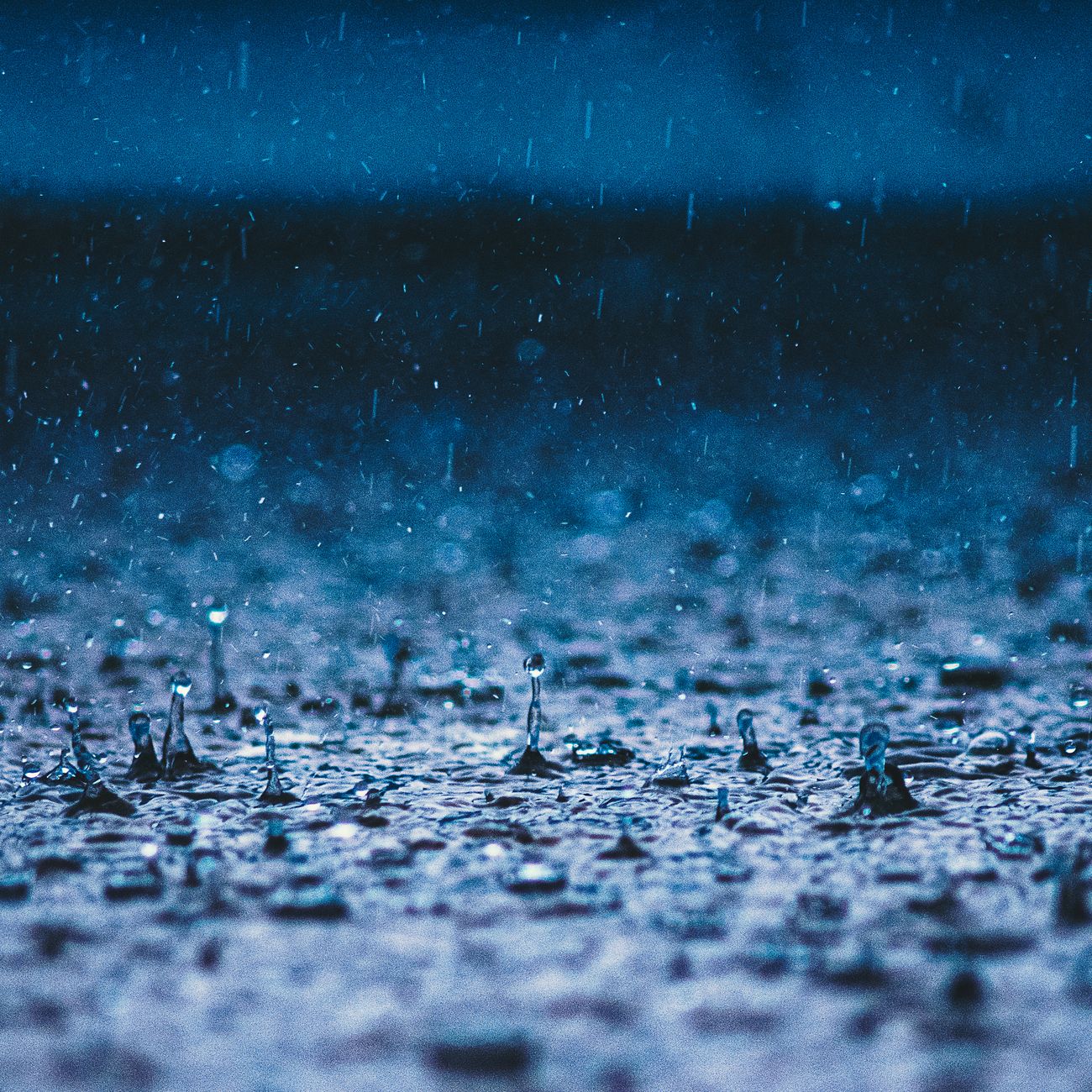 Risk Assessment and Decision Making in Water Resource Projects