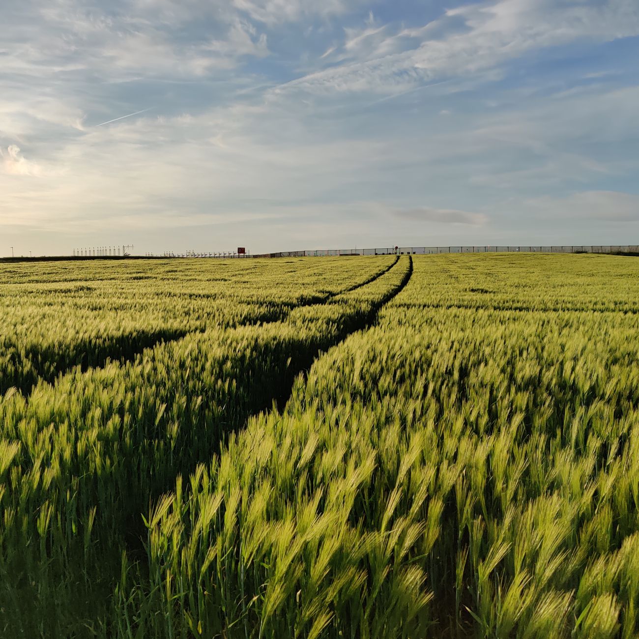 Sensors and Data Analysis in Agricultural Robotics
