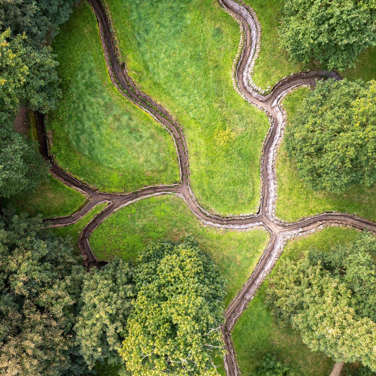 Conservation Strategies