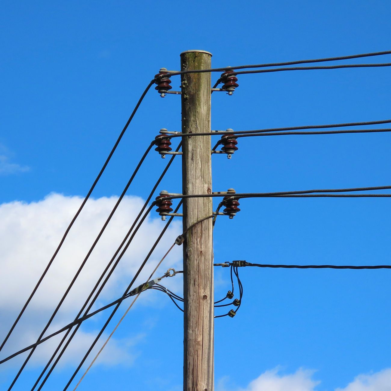 Electrical Safety Practices
