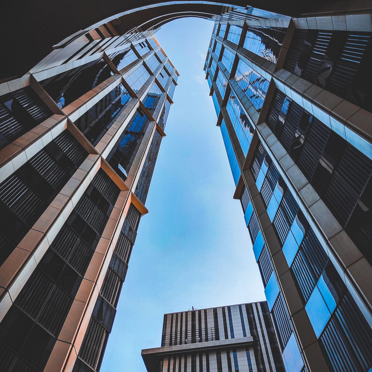 Public Private Partnerships in Development
