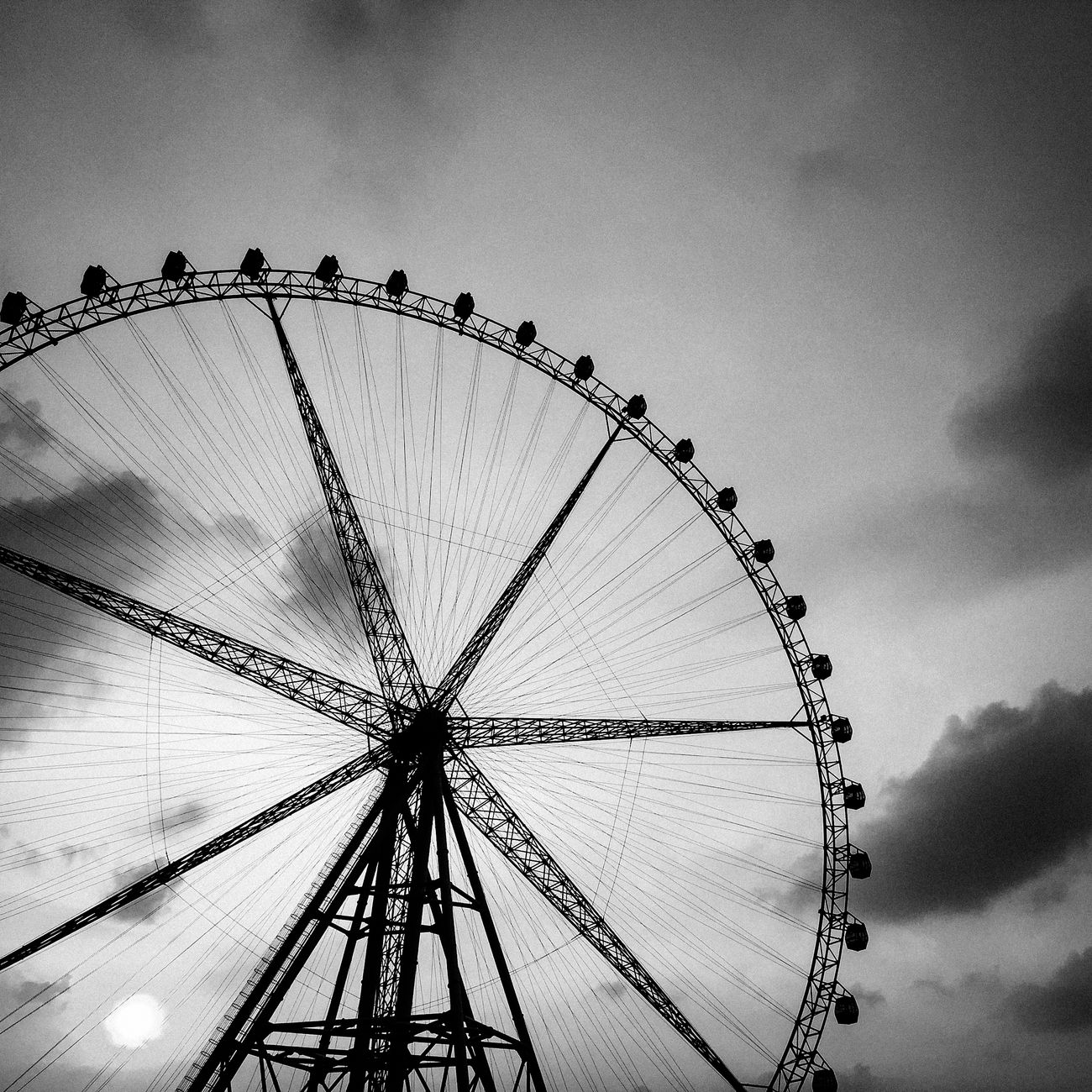 Theme Park Management Principles