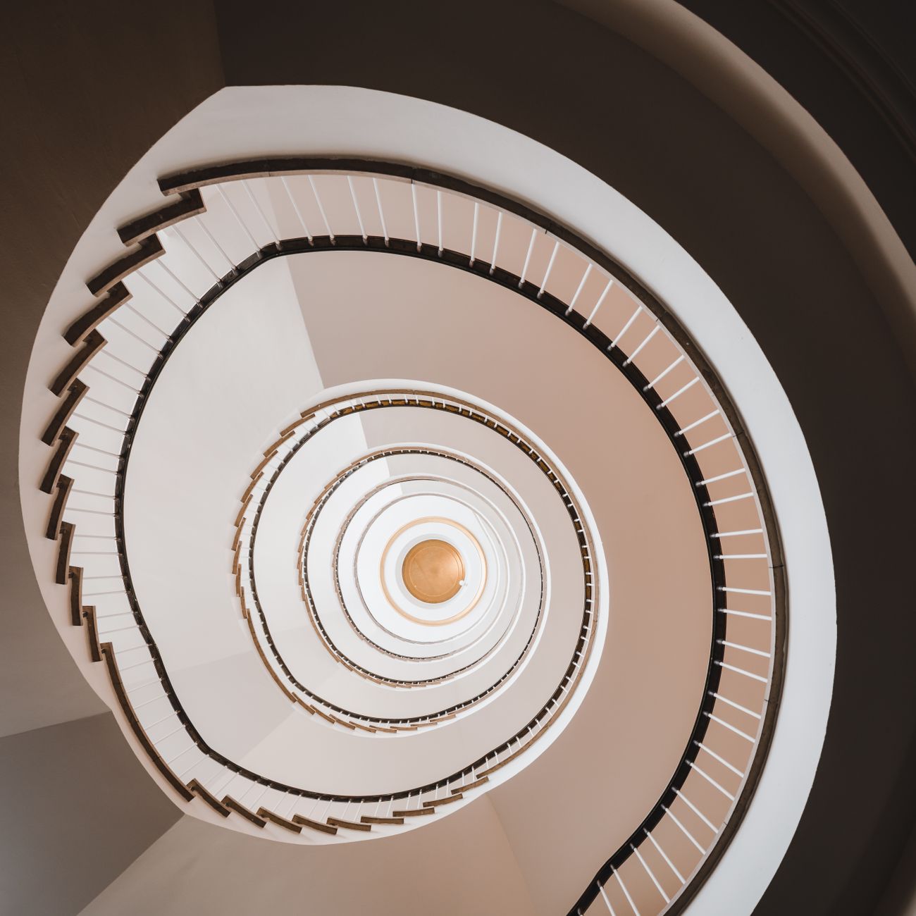 Financial Management for Startups