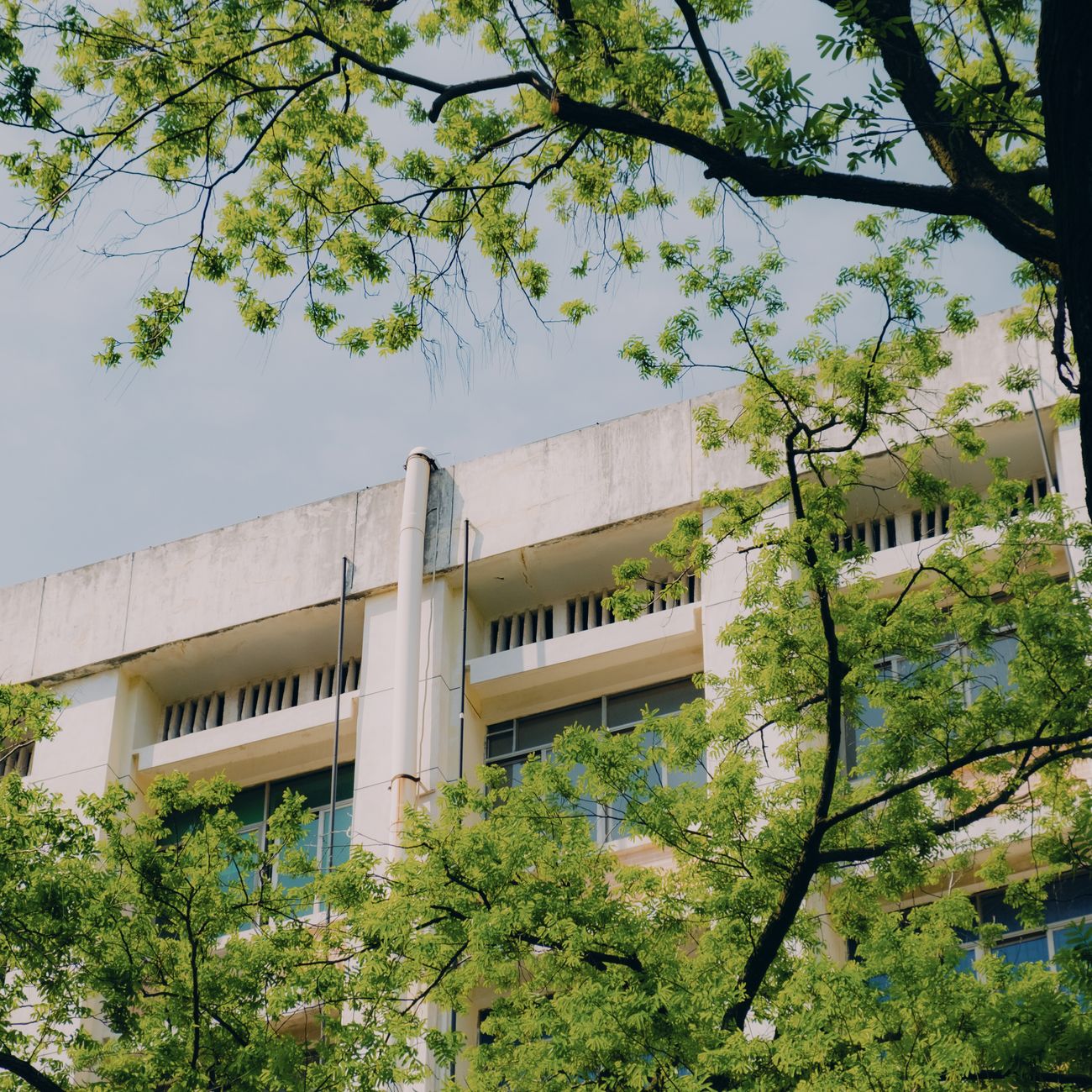 Strategic Planning for Environmental Communication