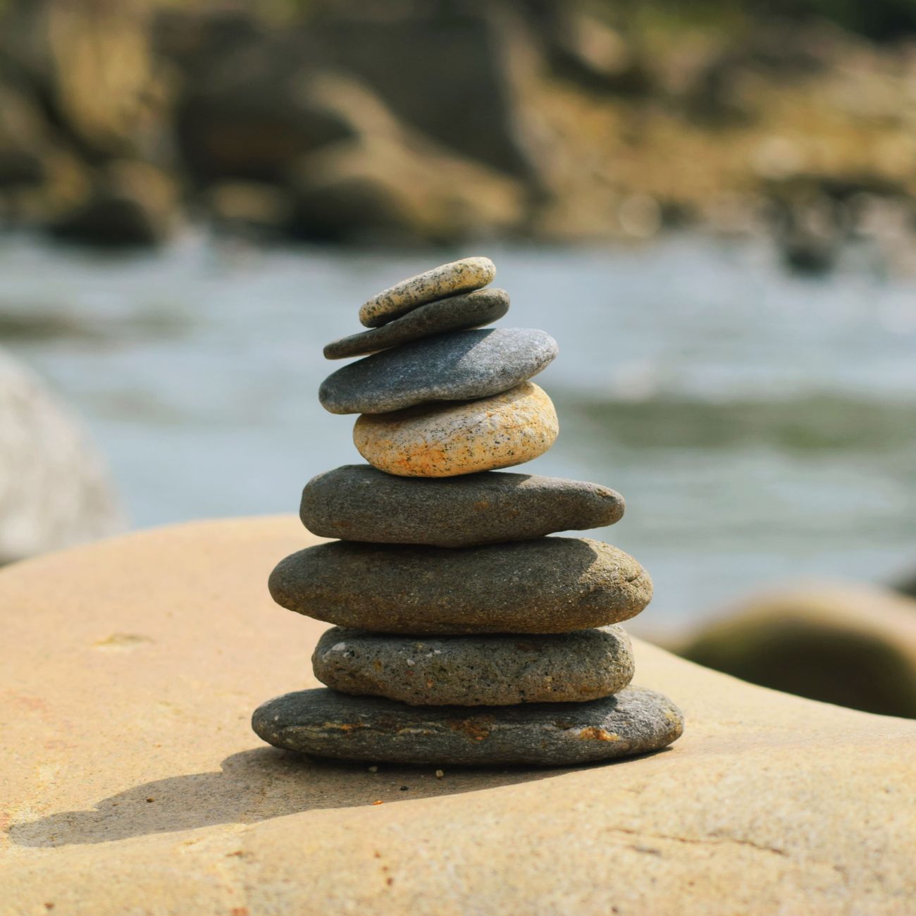 Building Trust and Rapport