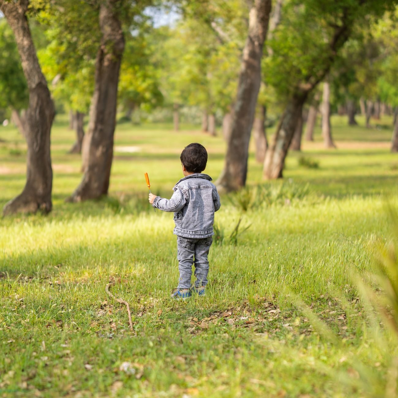 Introduction to Autism Spectrum Disorder