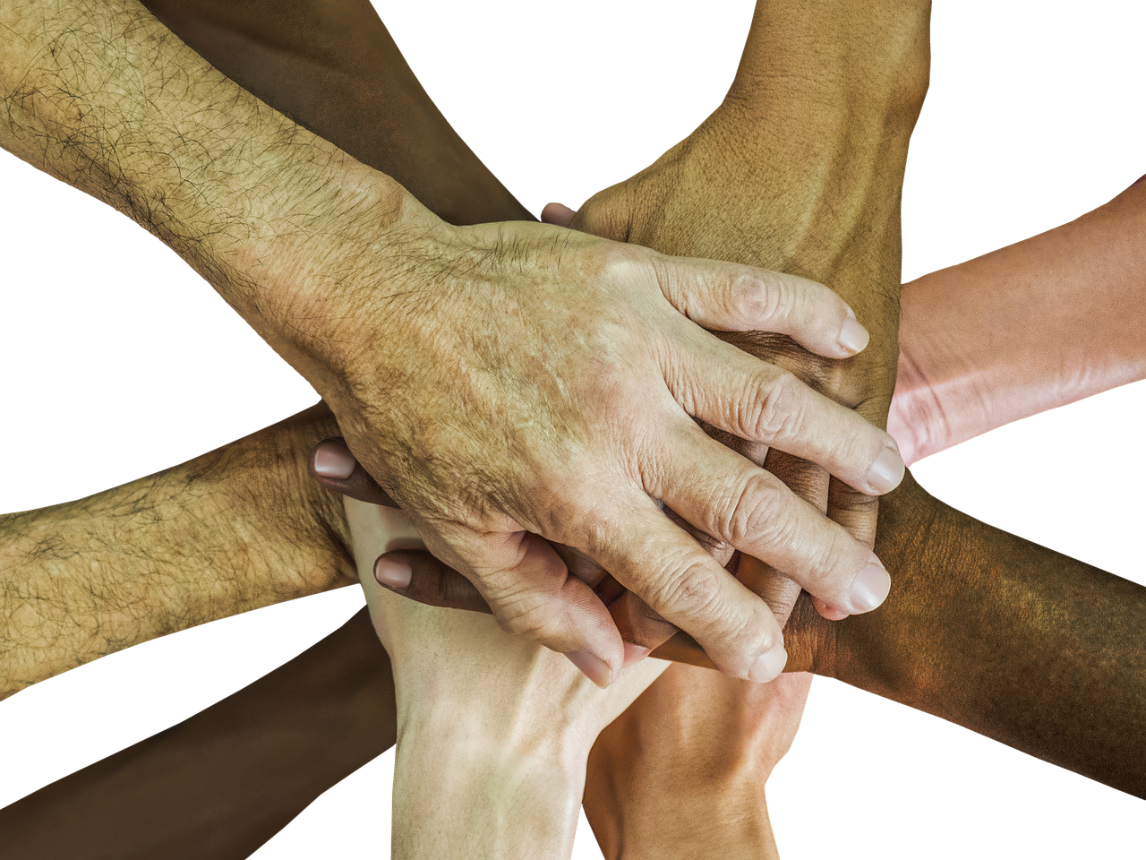 Diversity and Inclusion in Ocean Therapy