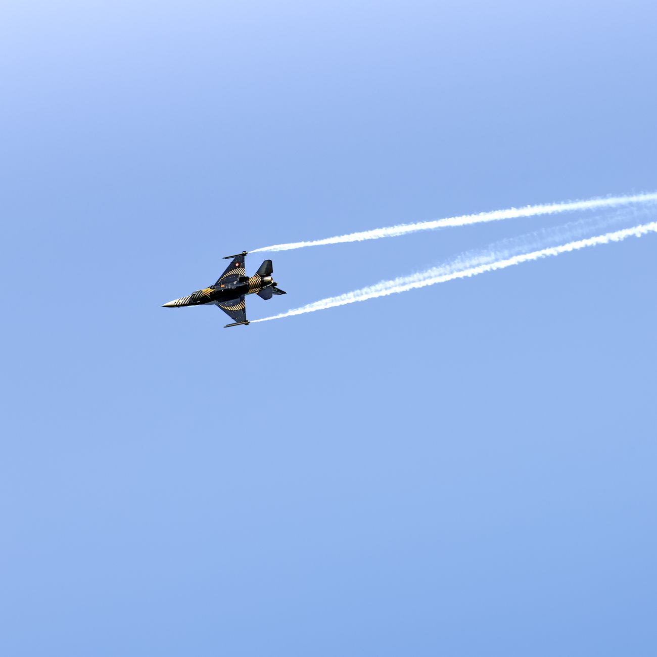 Leadership and Organizational Behavior in the Military