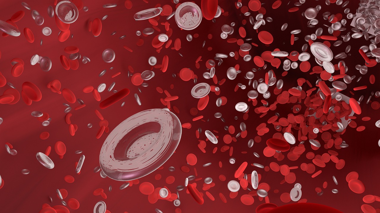 Vascular Anatomy and Physiology
