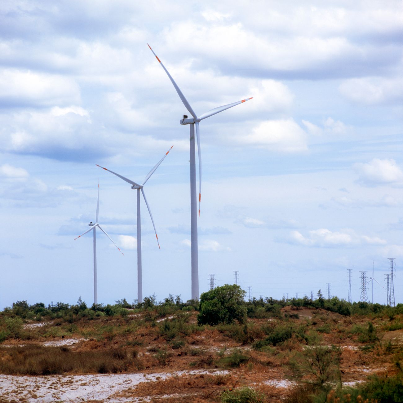 Renewable Energy Financing