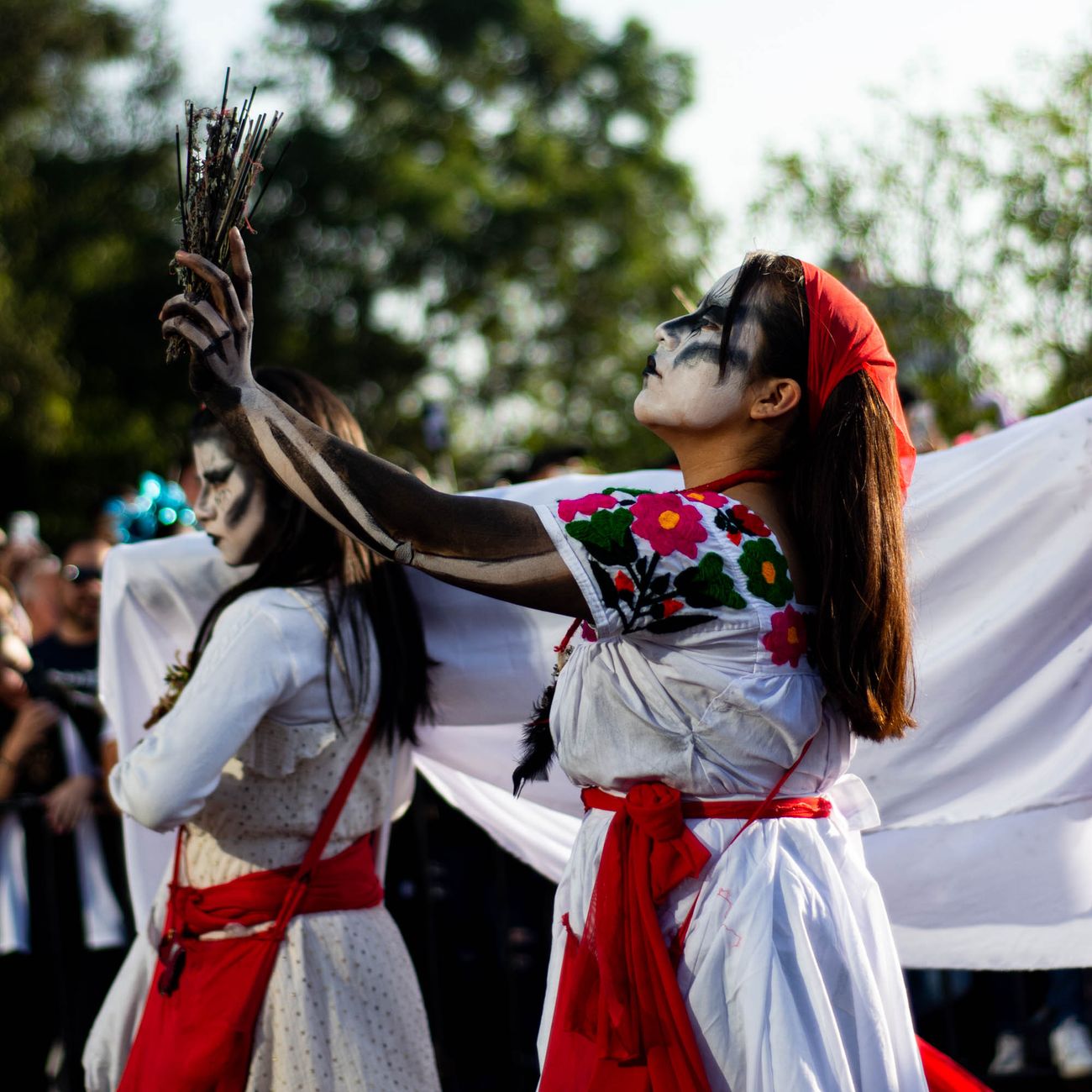 Anthropology of Resistance Movements