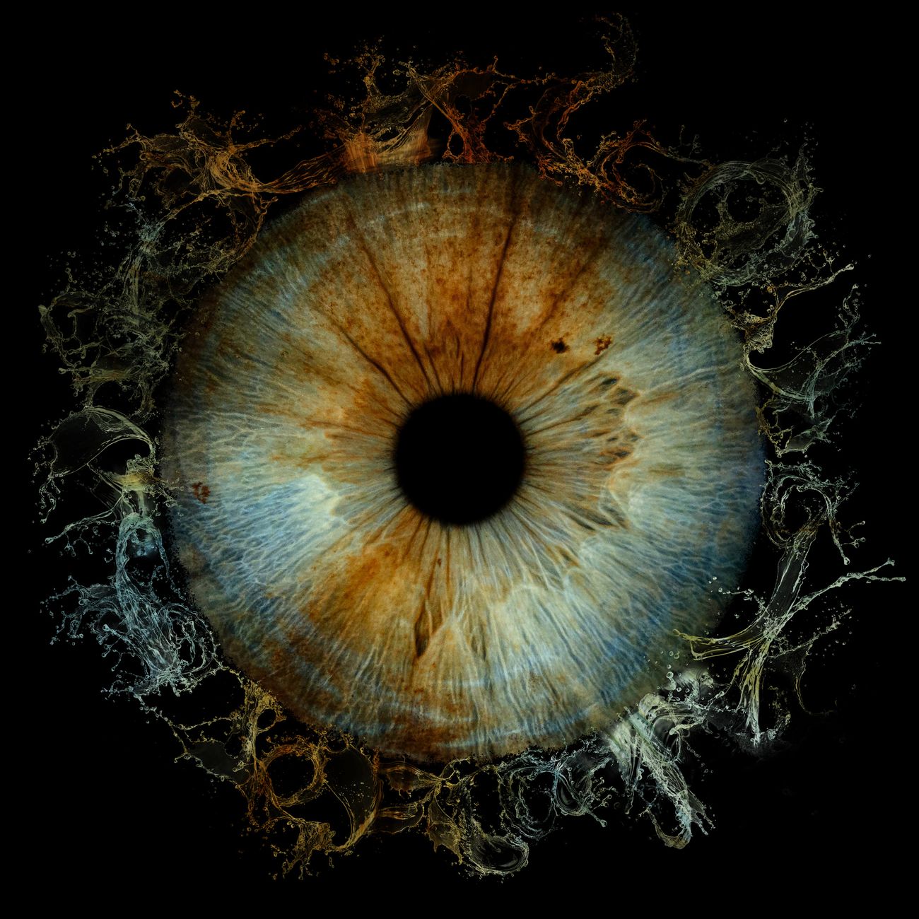 Imaging Modalities in Ocular Oncology