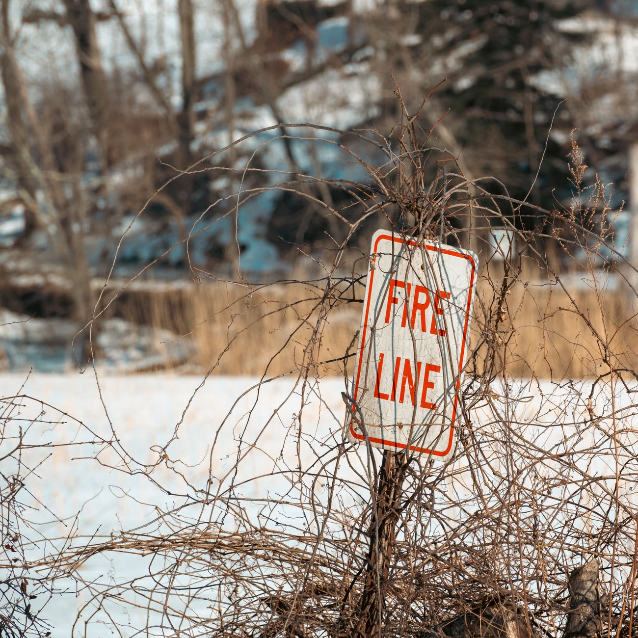 Psychological First Aid