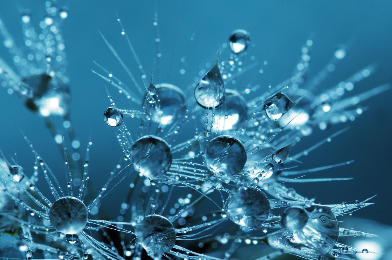 Teleoptometry Refraction Techniques