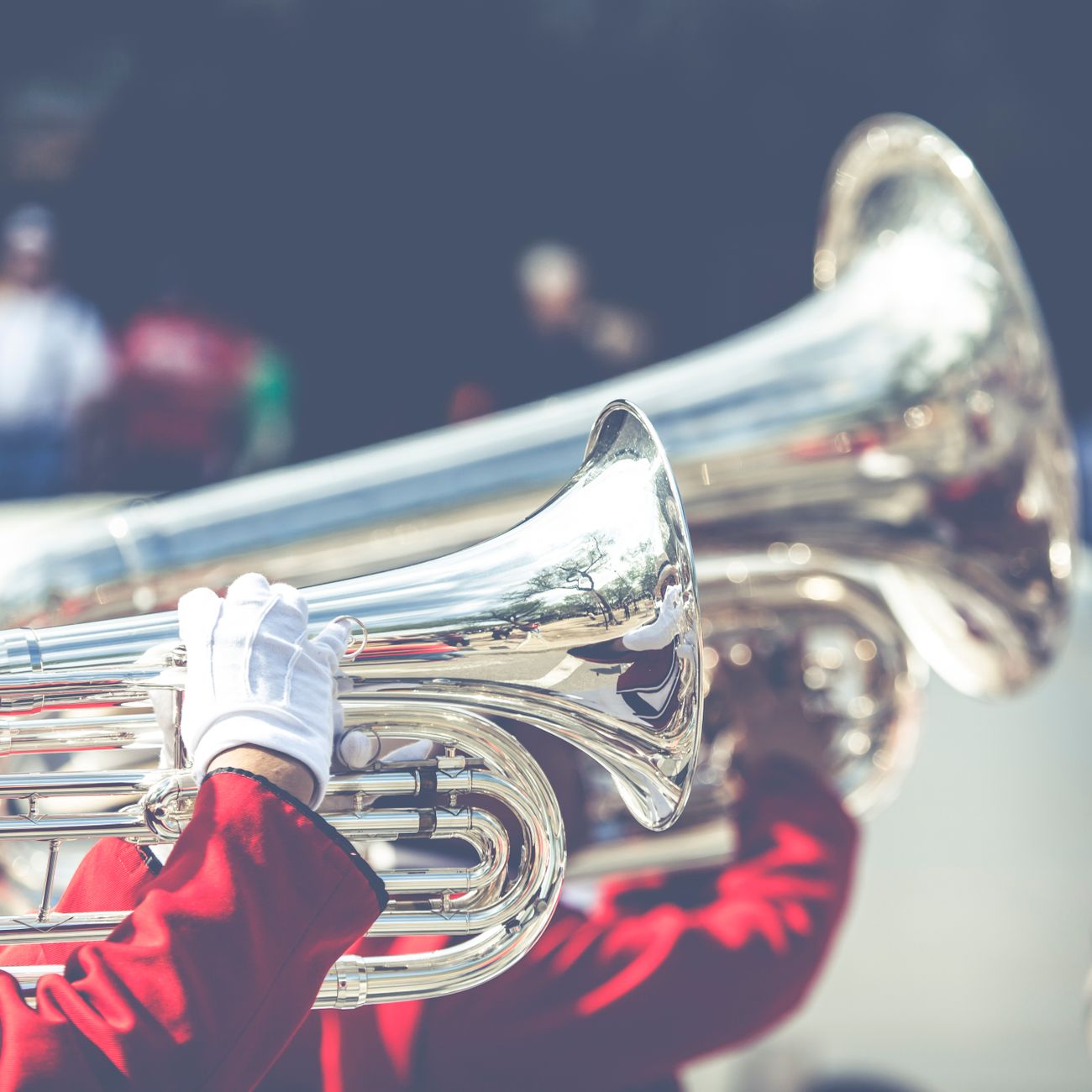 Global Music Market