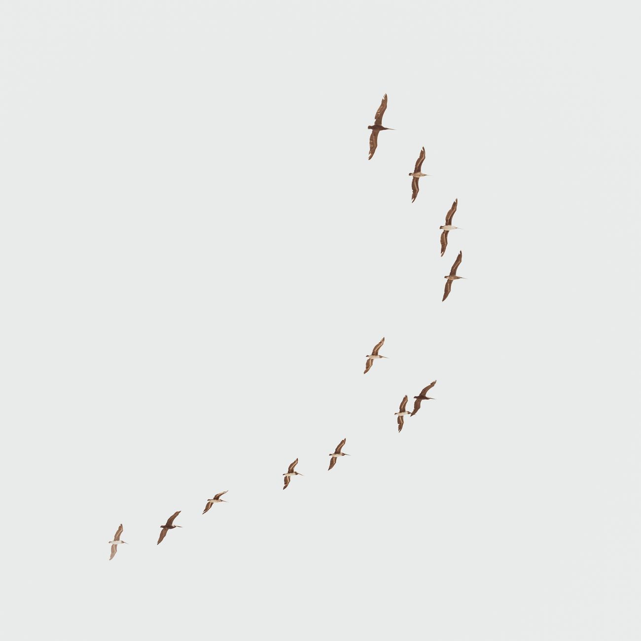 Cloud Migration Strategies