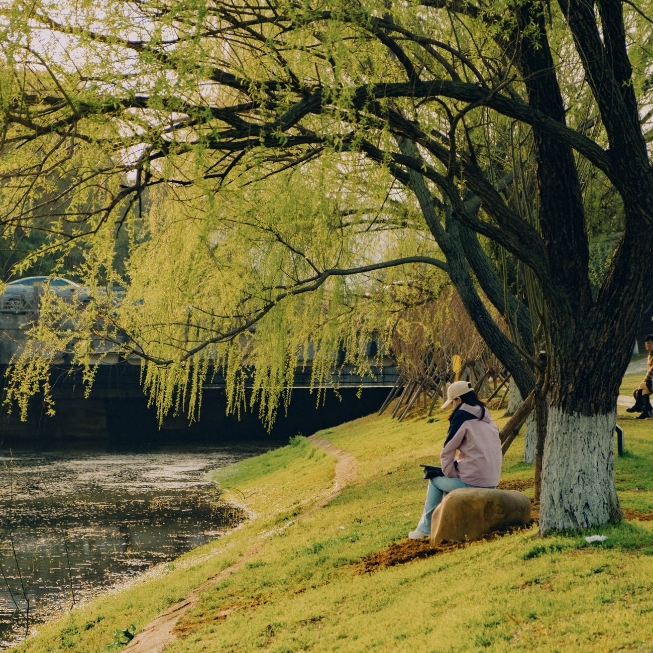 Mindfulness And Stress Management