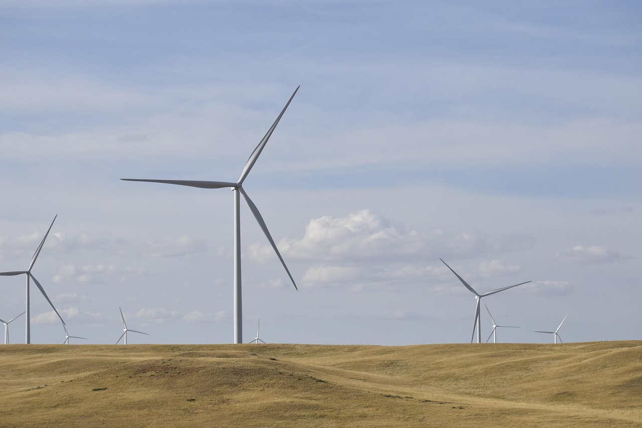 Licensing and Permitting Processes