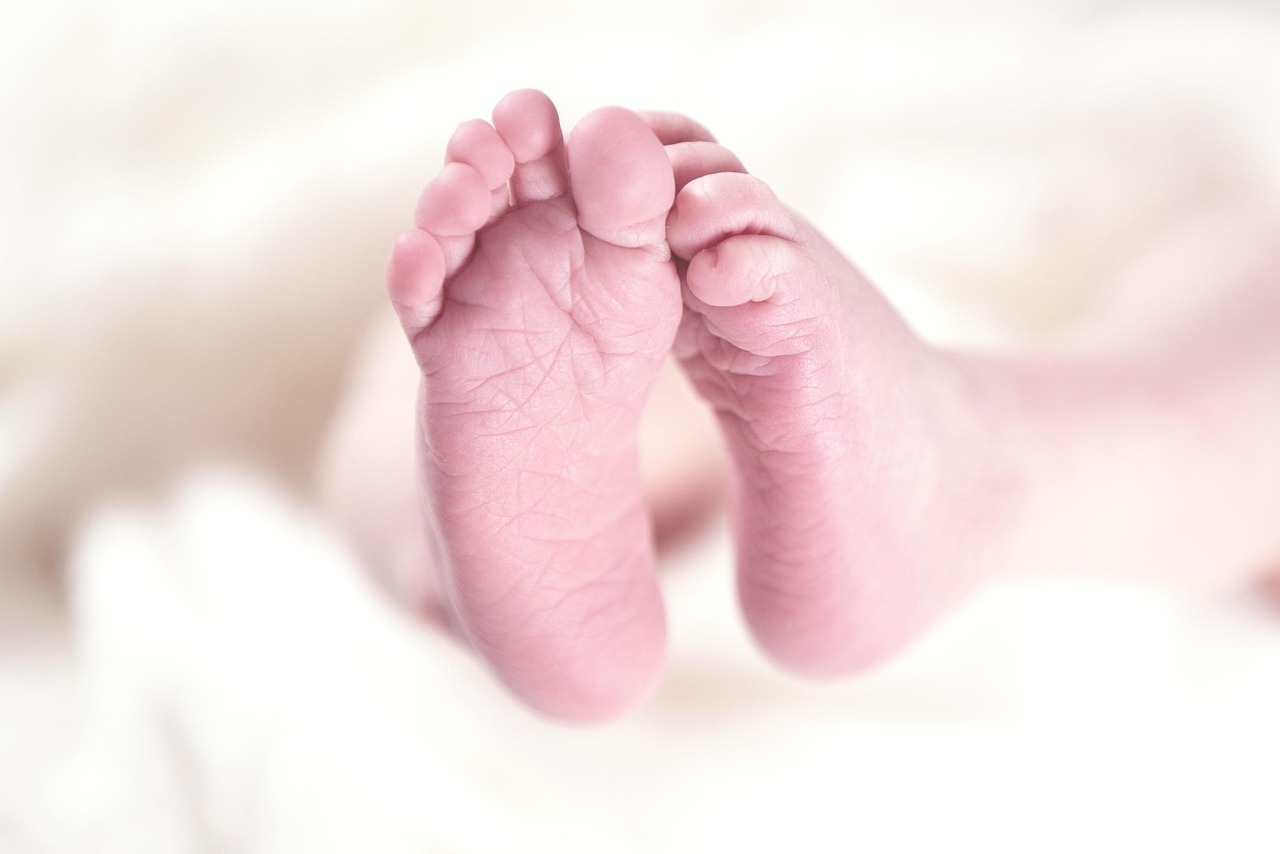 Sensory Integration And Processing