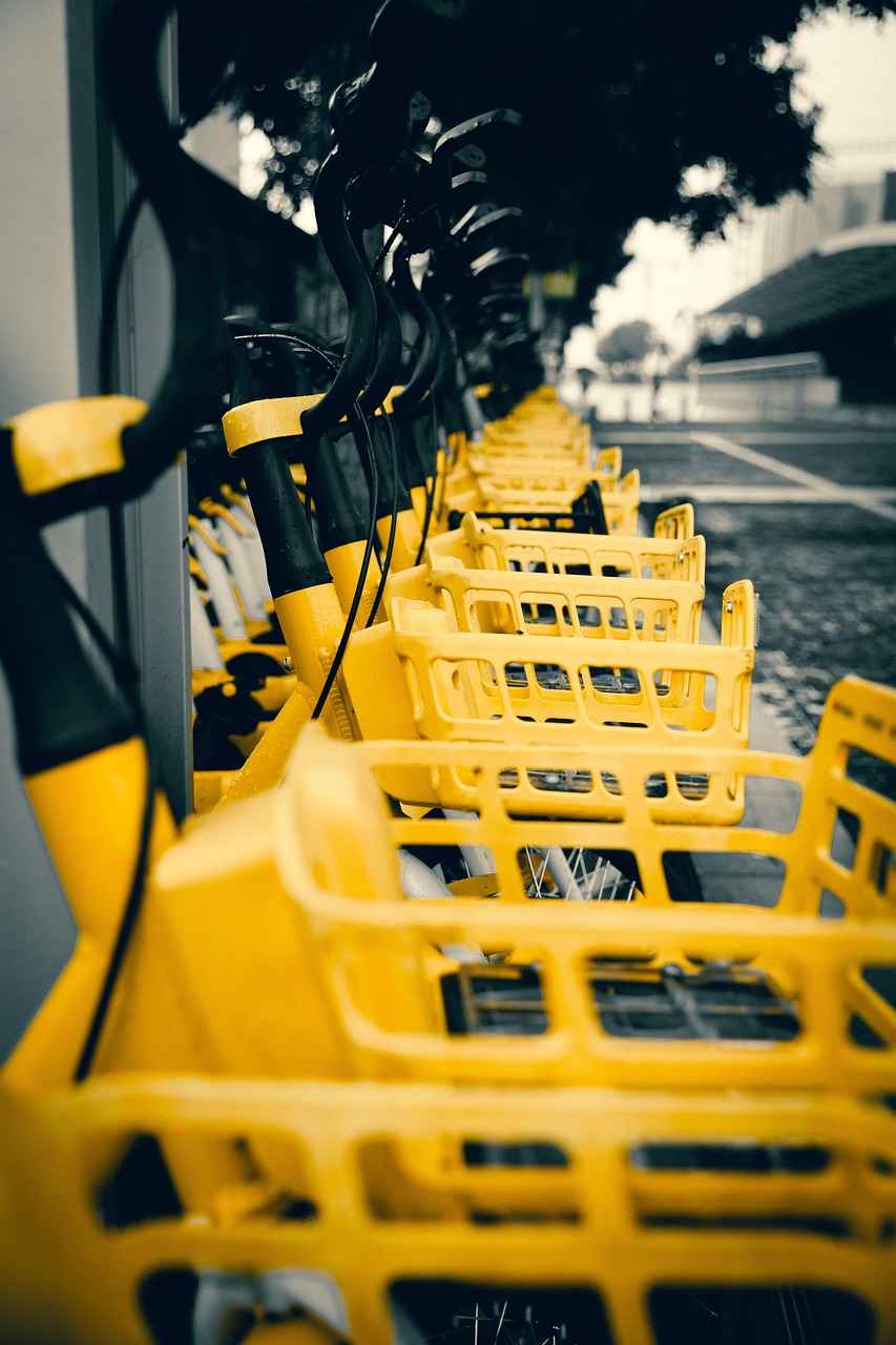 Introduction to Transportation Law  
