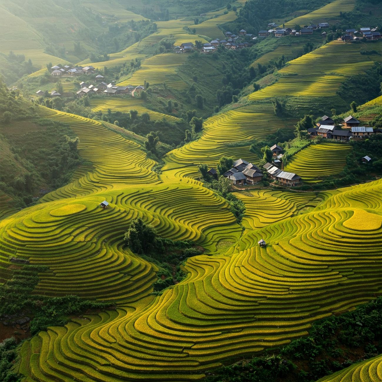 Regulatory Frameworks in Sustainable Agriculture (United Kingdom)