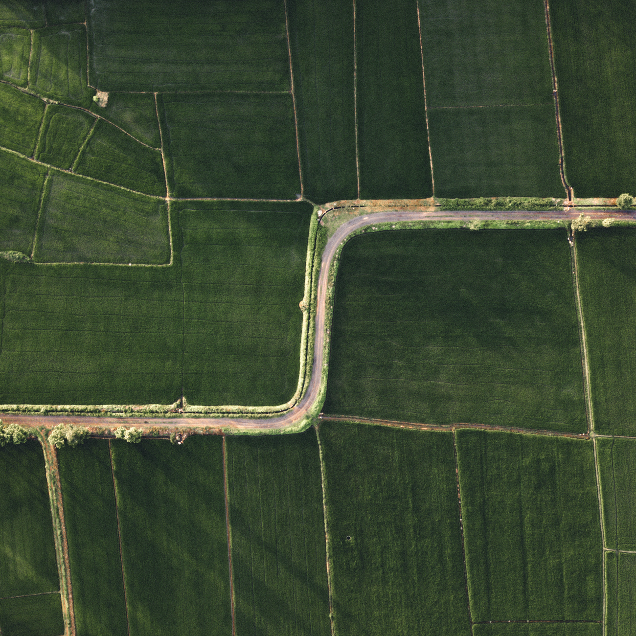 Data Analytics for Agricultural Decision Making (United Kingdom)