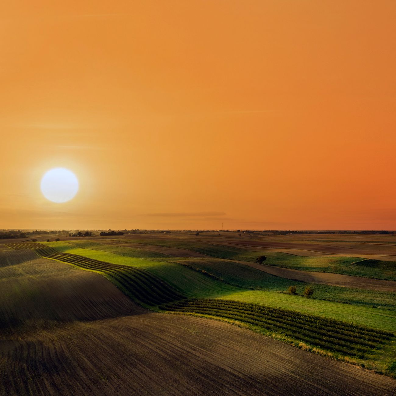 Financial Analysis for Agriculture