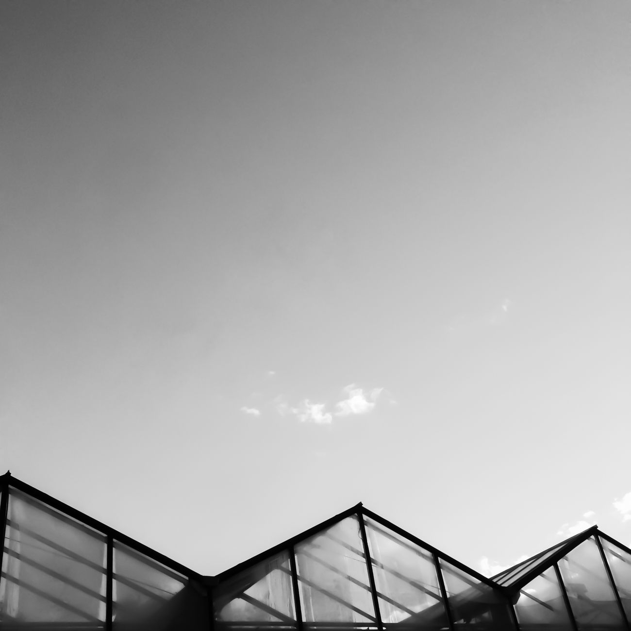 Sustainability Reporting in Agriculture