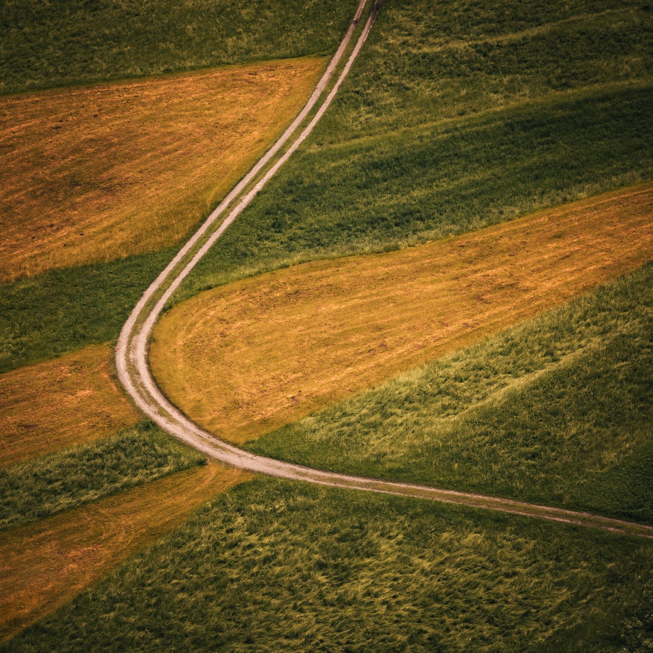 Regulatory Compliance in Agriculture