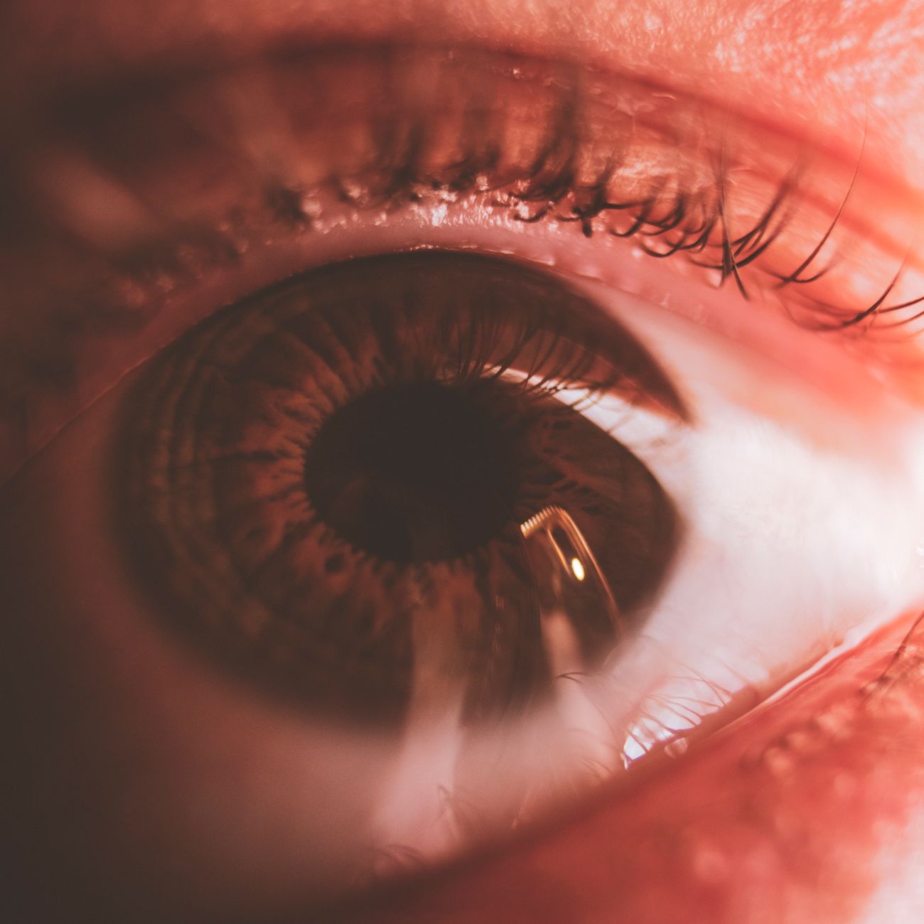 Emergency Ophthalmic Procedures