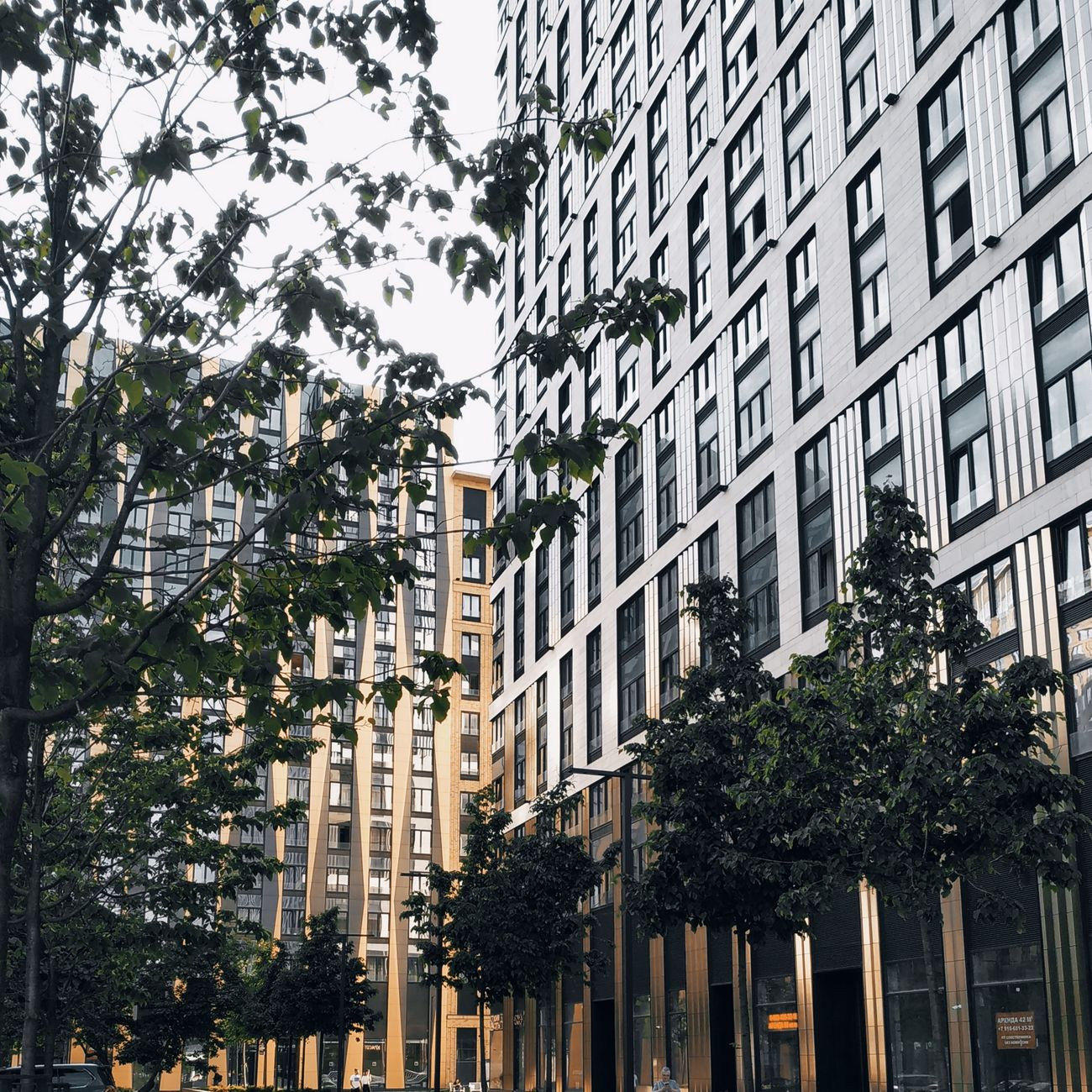 Hotel Real Estate Market Analysis