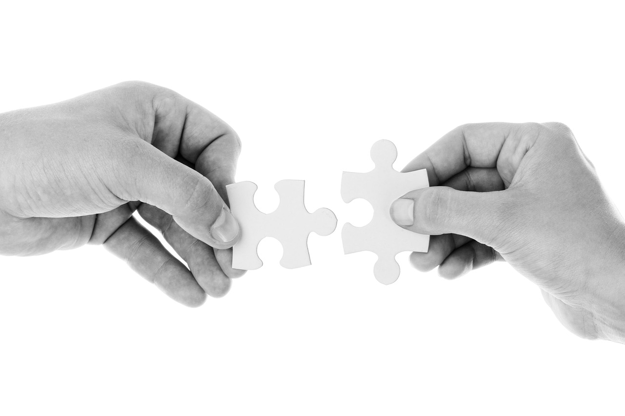 Collaborative Partnerships in Intellectual Property Crime Investigation