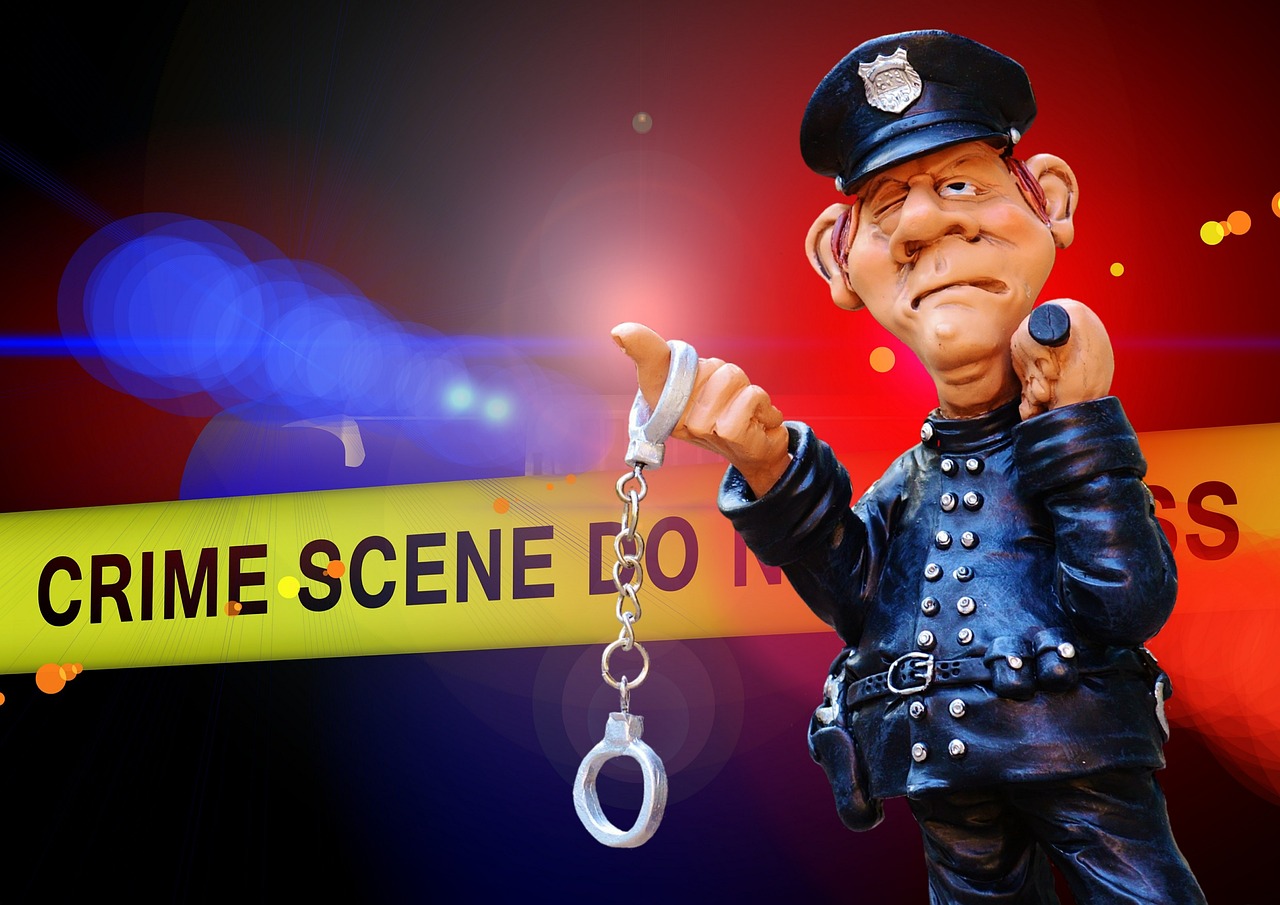 Innovations in Crime Prevention and Detection