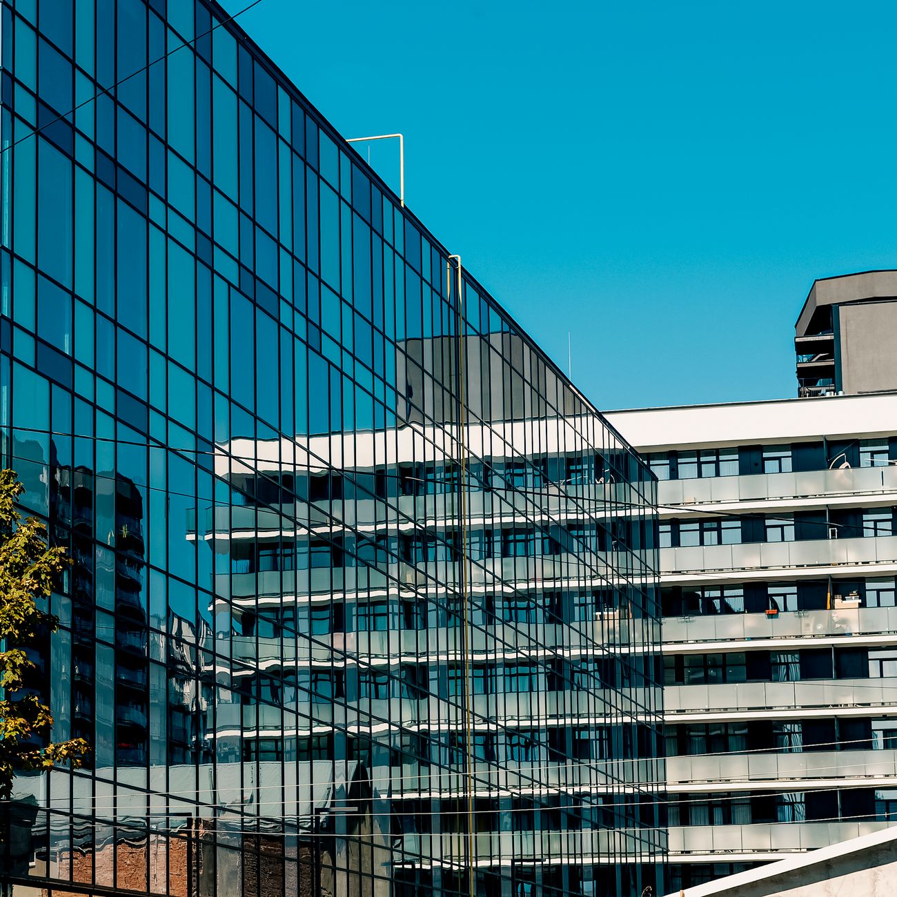 Health and Social Care Quality Assurance