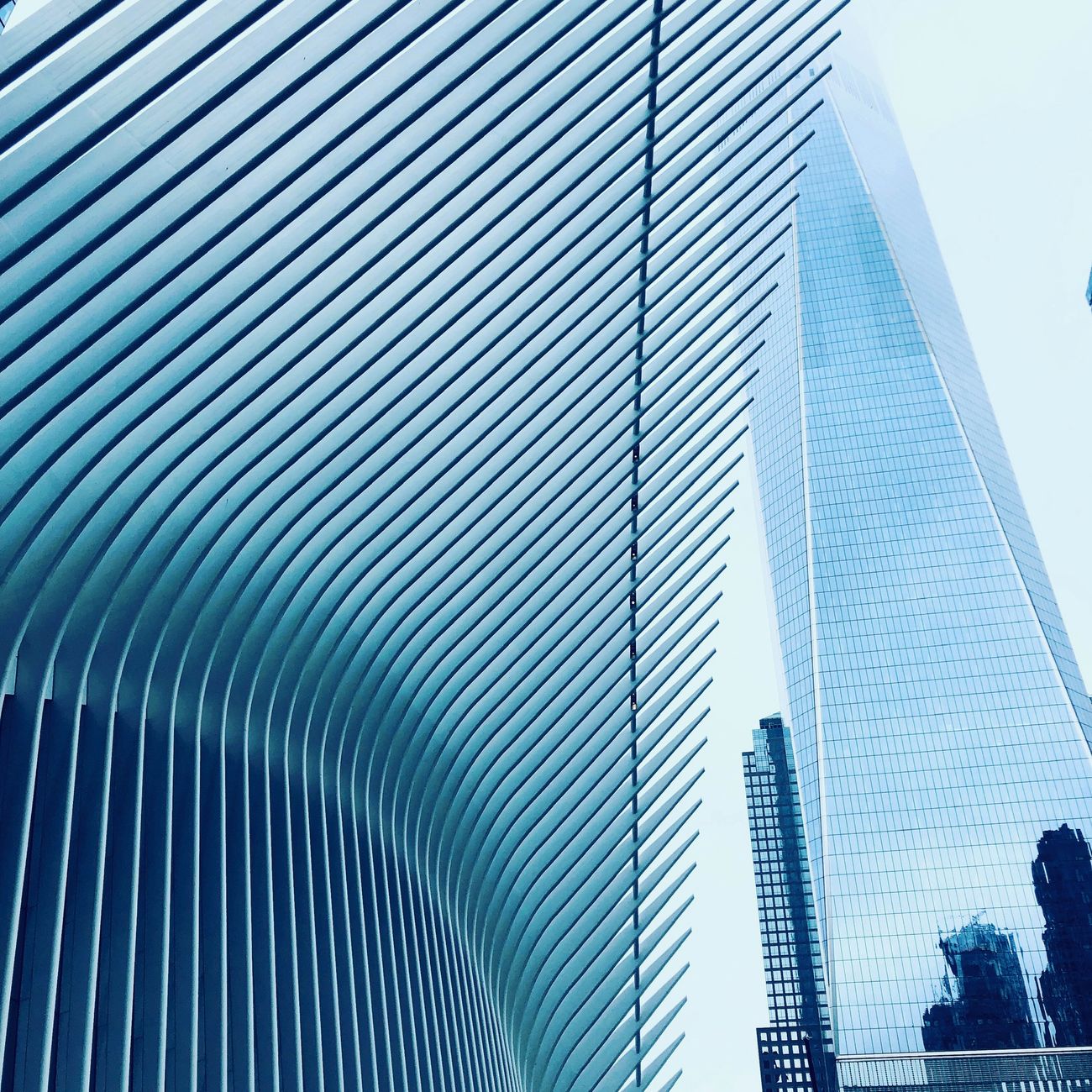 Crisis Management and Business Continuity