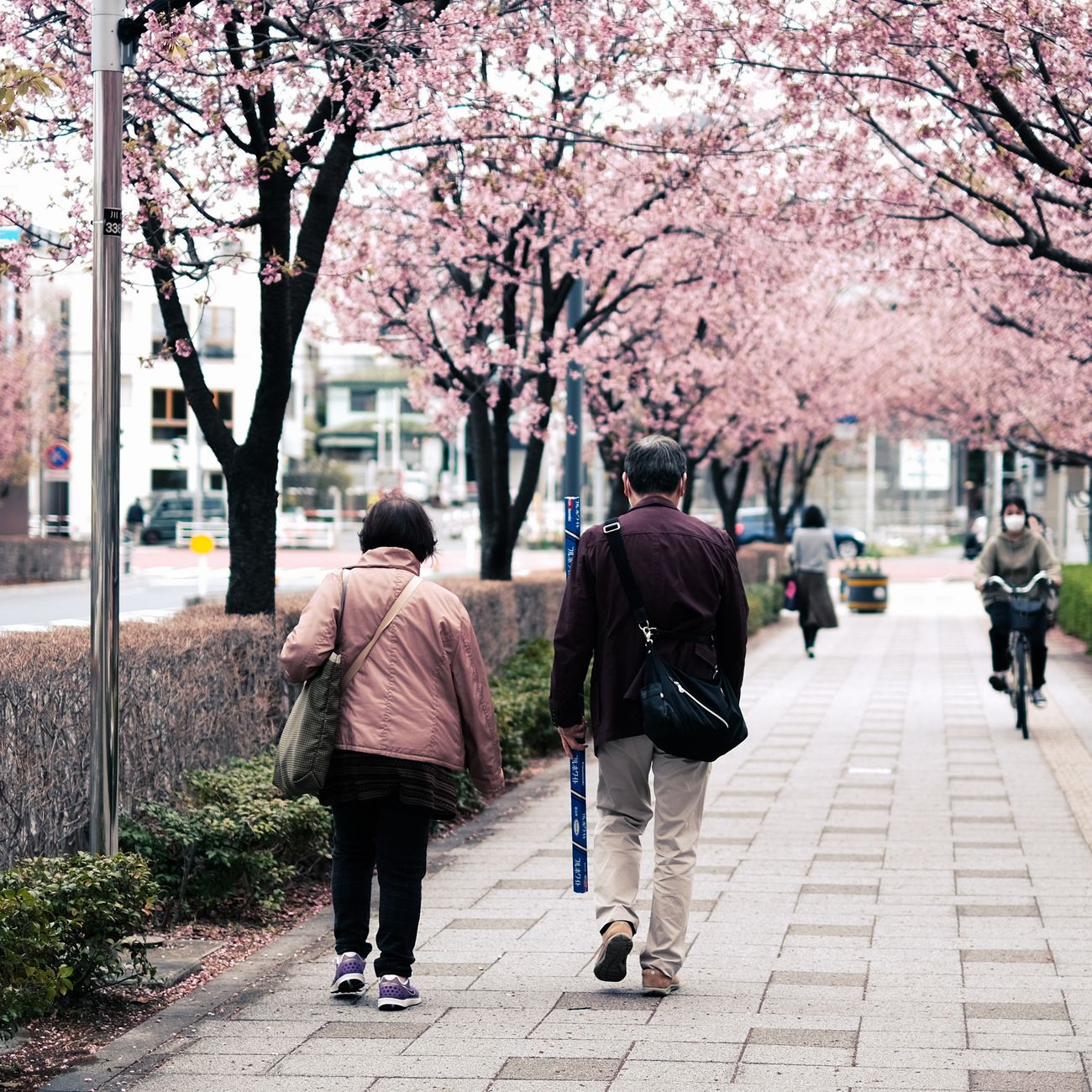 Health Inequalities and Social Determinants