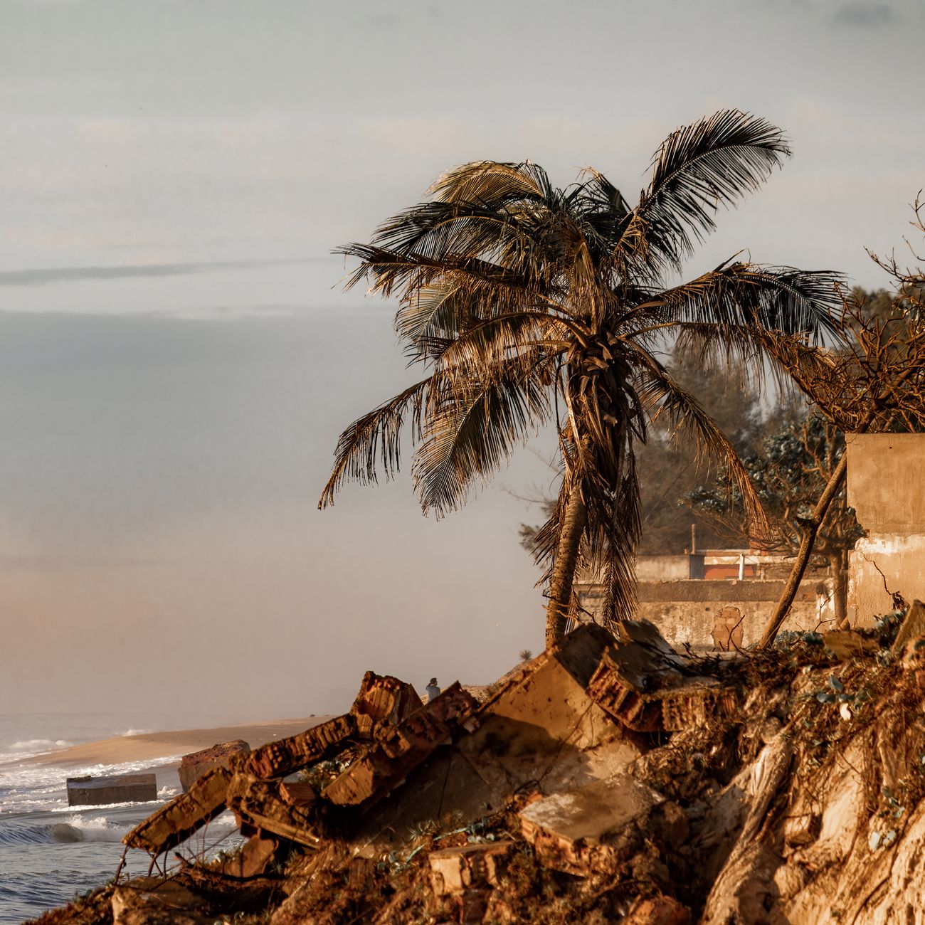 Tax Havens and Offshore Structures
