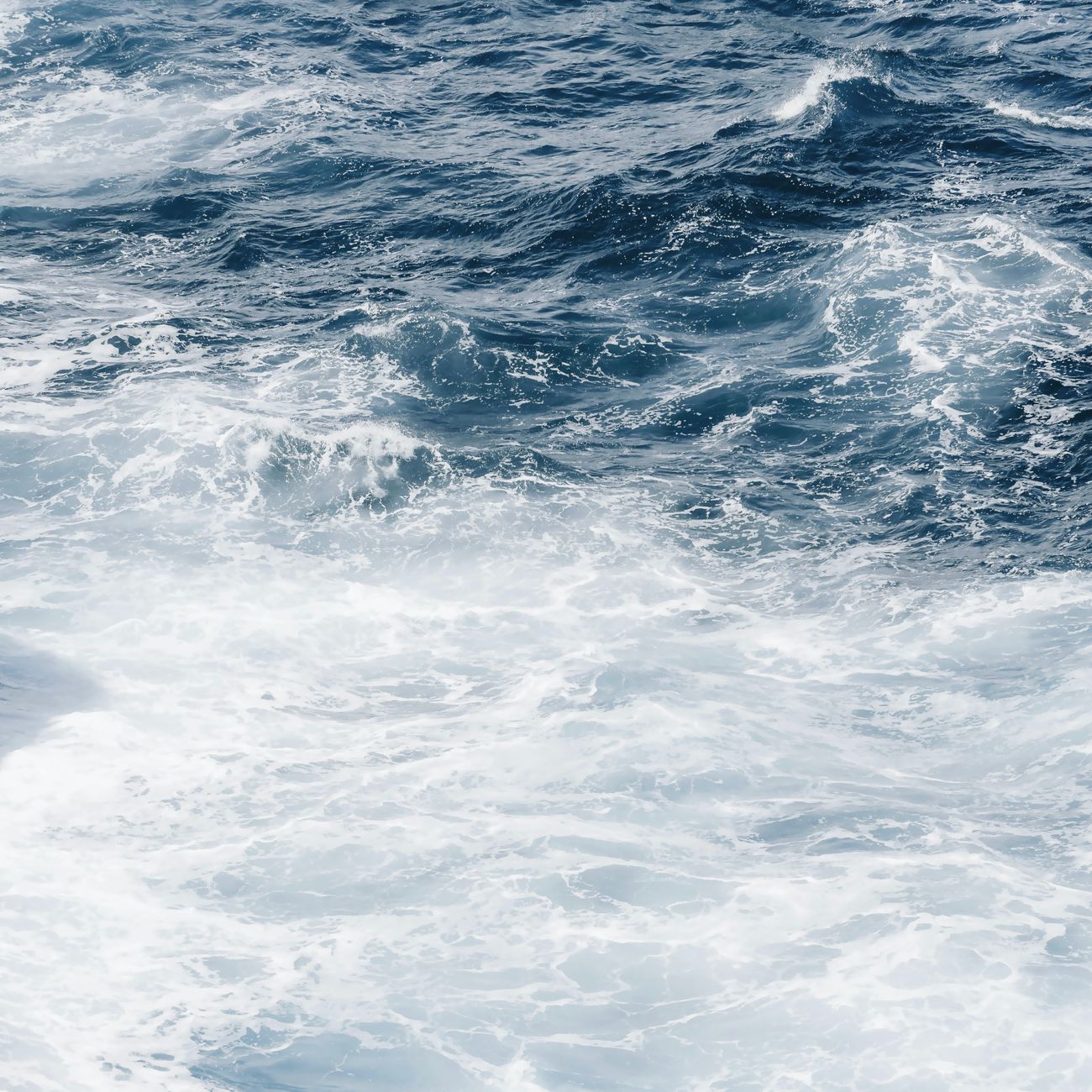 Hydrodynamics and Wave Mechanics